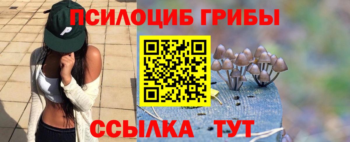 Бузулук  Псилоцибиновые грибы Cubensis  Вход с VPN 